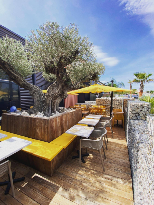 Le restaurant - La Brasserie des Sens - Frontignan - top resto FRONTIGNAN